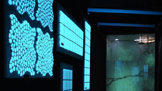Illumina i tuoi sogni con Bright Materials